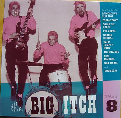 Various – The Big Itch Volume 8 LP vinyl record, image 1 of 2