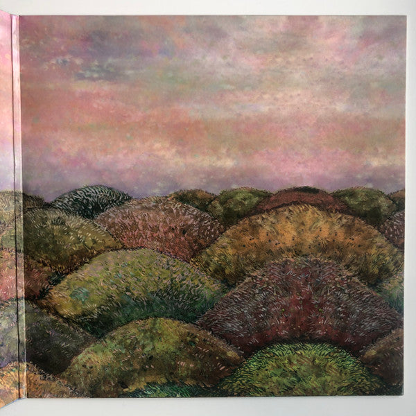 J Mascis – Several Shades Of Why LP vinyl record, image 3 of 6