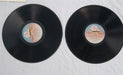 The Monkees – Monkeemania (2xLP) LP vinyl record, image 5 of 5