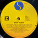 Brian Wilson – Brian Wilson LP vinyl record, image 4 of 6