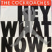 The Cockroaches – Hey What Now! 12" vinyl record, image 1 of 4