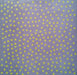 The Wedding Present – Seamonsters LP vinyl record, image 5 of 10