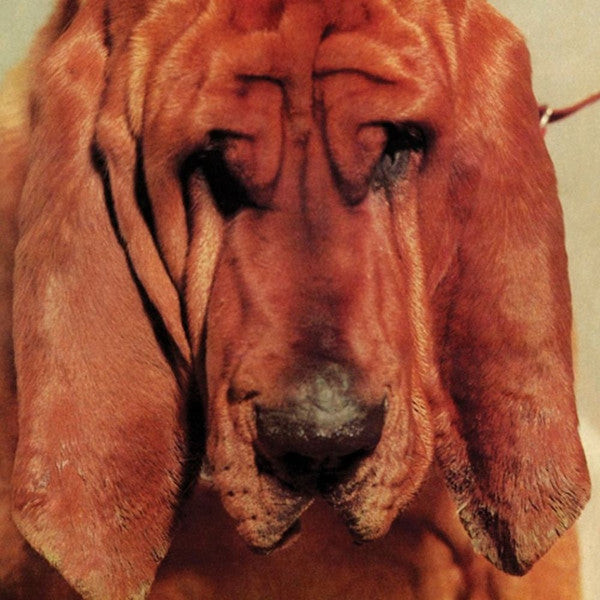 Ty Segall – Goodbye Bread LP vinyl record, image 1 of 7