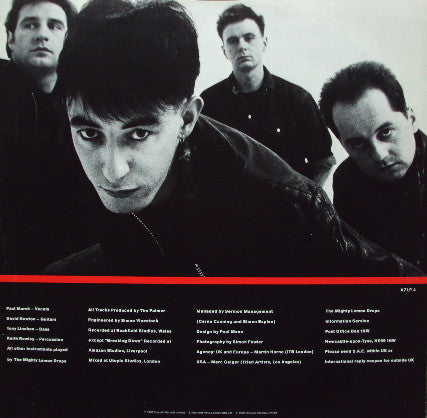 The Mighty Lemon Drops – World Without End LP vinyl record, image 5 of 6