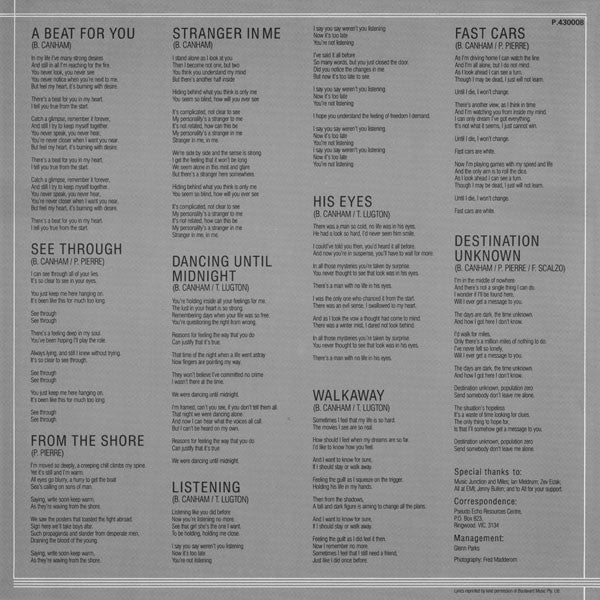 Pseudo Echo – Autumnal Park LP vinyl record, image 3 of 7
