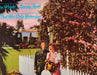 Gary Wright, Spooky Tooth – That Was Only Yesterday (2xLP) LP vinyl record, image 1 of 8