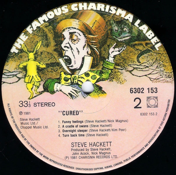 Steve Hackett – Cured LP vinyl record, image 4 of 4