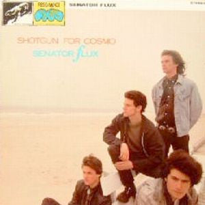 Senator Flux – Shotgun For Cosmo LP vinyl record, image 1 of 2