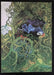 Yes – Fragile LP vinyl record, image 7 of 10