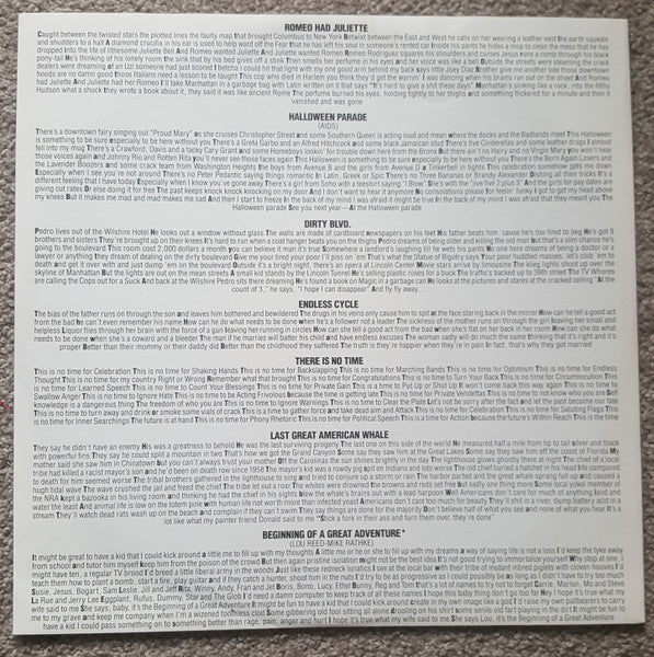 Lou Reed – New York LP vinyl record, image 4 of 7