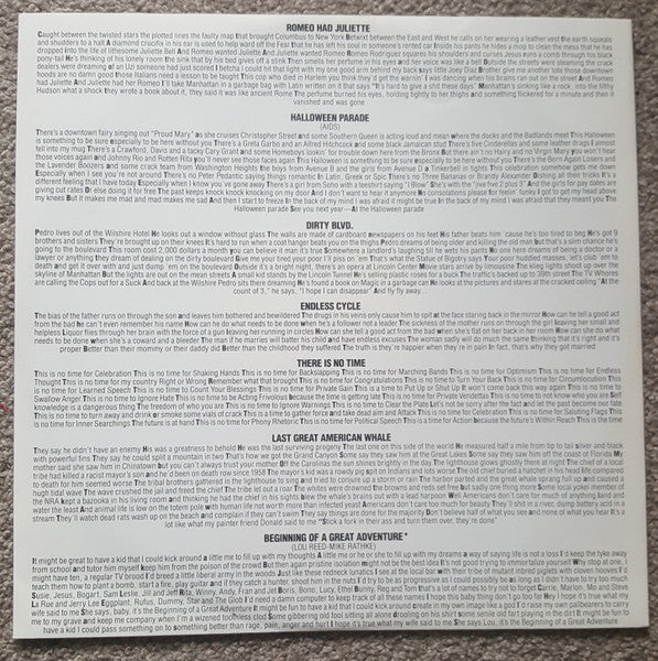 Lou Reed – New York LP vinyl record, image 4 of 7