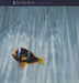 The Big Dish – Swimmer LP vinyl record, image 1 of 8
