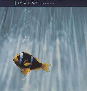 The Big Dish – Swimmer