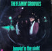 The Flamin' Groovies – Jumpin' In The Night LP vinyl record, image 1 of 6