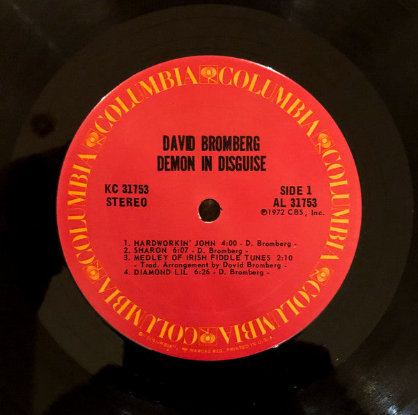 David Bromberg – Demon In Disguise LP vinyl record, image 3 of 4