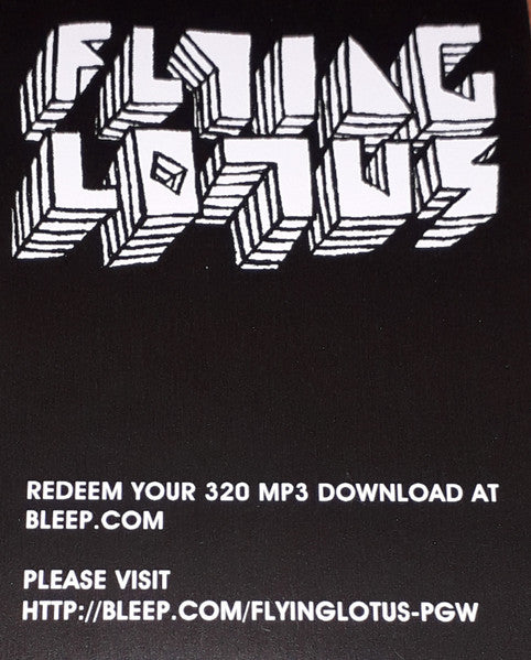 Flying Lotus – Pattern+Grid World 12" vinyl record, image 5 of 7
