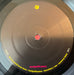 Jim O'Rourke – Insignificance LP vinyl record, image 3 of 8