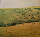 Billy Thorpe And The Aztecs – Aztecs Live At! Sunbury (2xLP) LP vinyl record, image 2 of 7