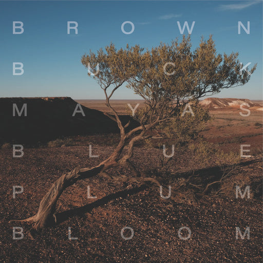 David Brown, Tony Buck, Magda Mayas – Blue Plum Bloom LP vinyl record