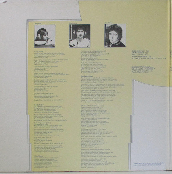 Al Stewart – Year Of The Cat LP vinyl record, image 2 of 6