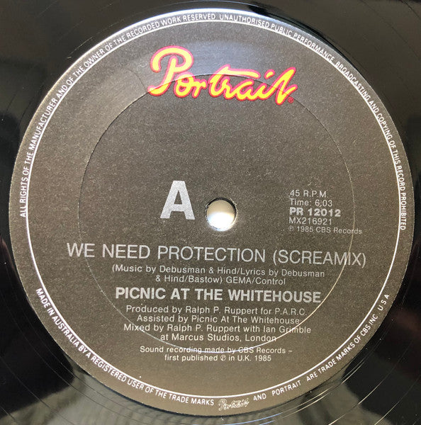 Picnic At The Whitehouse – We Need Protection (Screamix) 12" vinyl record, image 2 of 3