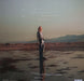 Phoebe Bridgers, Rob Moose – Copycat Killer 12" vinyl record, image 2 of 7