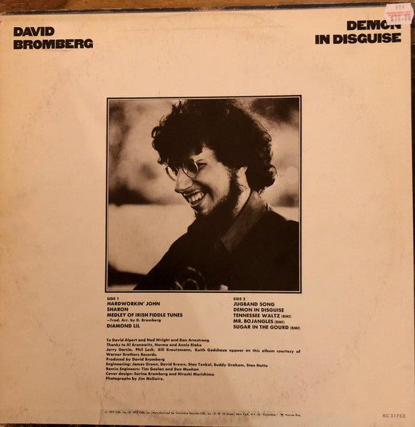 David Bromberg – Demon In Disguise LP vinyl record, image 2 of 4