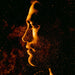 Stuart A. Staples – High Life LP vinyl record, image 1 of 4