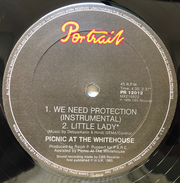 Picnic At The Whitehouse – We Need Protection (Screamix) 12" vinyl record, image 3 of 3