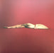 Huntly – Low Grade Buzz LP vinyl record, image 1 of 8