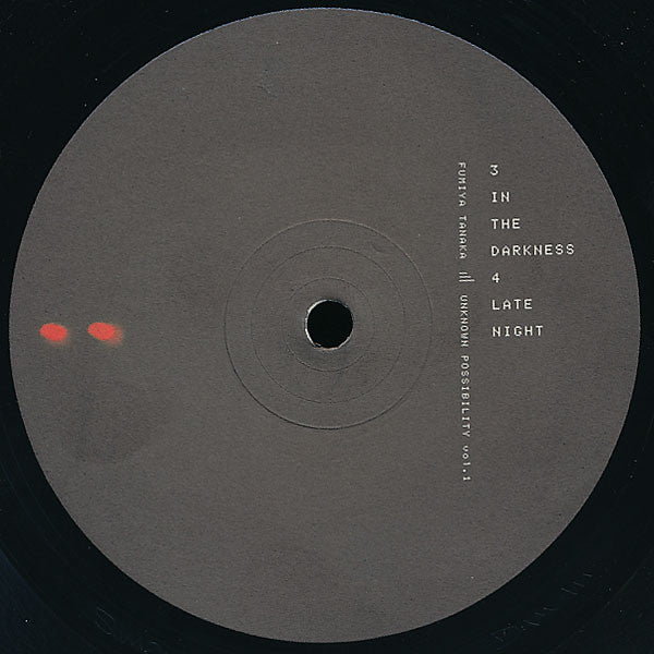 Fumiya Tanaka – Unknown Possibility Vol. 1 (2xLP) LP vinyl record, image 4 of 6