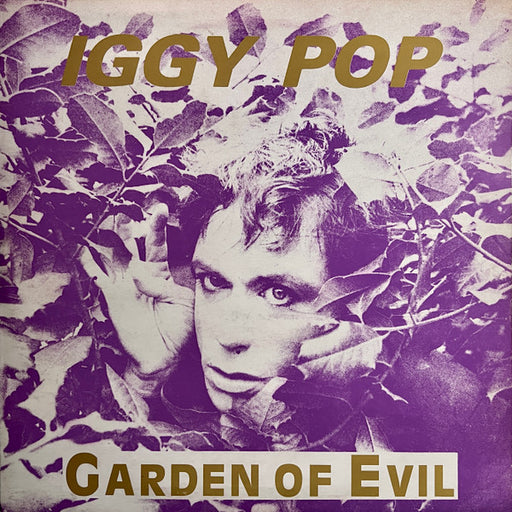 Iggy Pop – Garden Of Evil