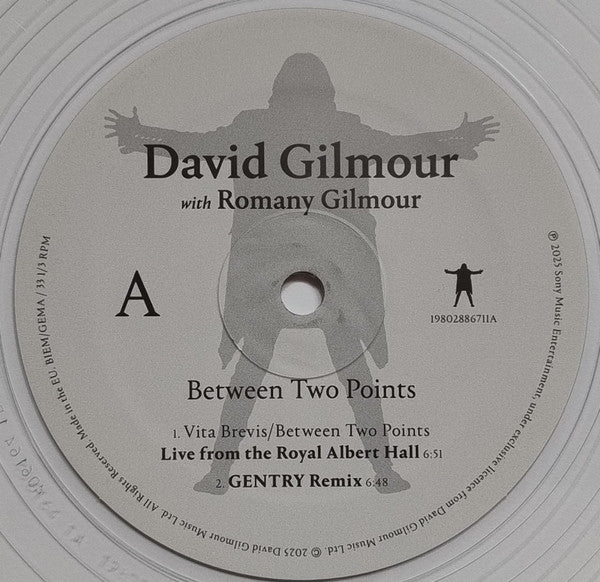 David Gilmour, Romany Gilmour – Between Two Points 12" vinyl record, image 6 of 9