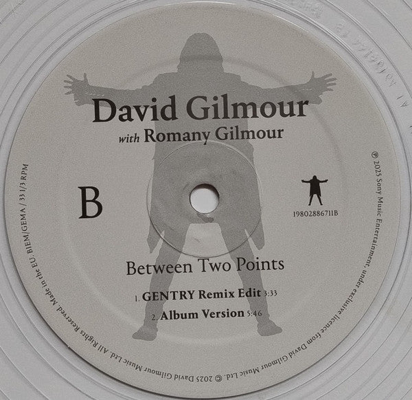 David Gilmour, Romany Gilmour – Between Two Points 12" vinyl record, image 8 of 9