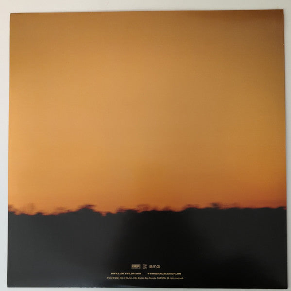 Lainey Wilson – Whirlwind (2xLP) LP vinyl record, image 10 of 10