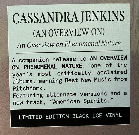 Cassandra Jenkins – (An Overview On) An Overview On Phenomenal Nature LP vinyl record, image 6 of 6
