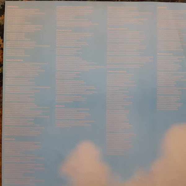 Dire Straits – Brothers In Arms LP vinyl record, image 5 of 7