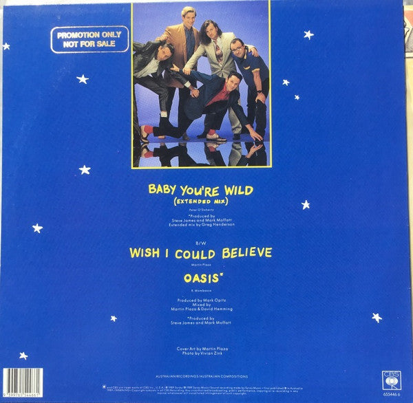 Mental As Anything – Baby You're Wild 12" vinyl record, image 2 of 4