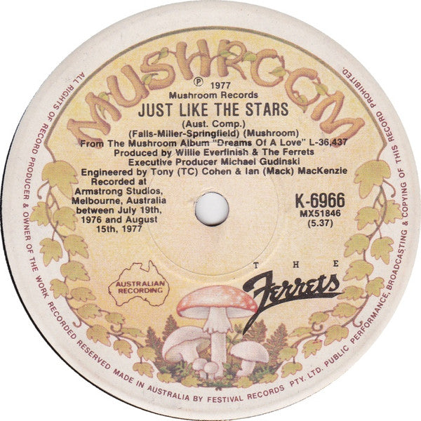 The Ferrets – Janie May 7" vinyl record, image 2 of 2