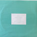Damien Jurado – Brothers And Sisters Of The Eternal Son LP vinyl record, image 6 of 8