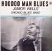 Junior Wells' Chicago Blues Band, Buddy Guy – Hoodoo Man Blues LP vinyl record, image 1 of 7