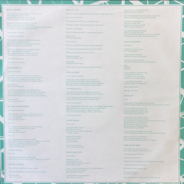Damien Jurado – Brothers And Sisters Of The Eternal Son LP vinyl record, image 5 of 8