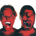 Metallica – Hardwired...To Self-Destruct (2xLP) LP vinyl record, image 2 of 10
