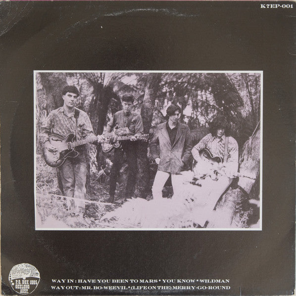 The Bo-Weevils – The Vortex Took Them 12" vinyl record, image 2 of 5