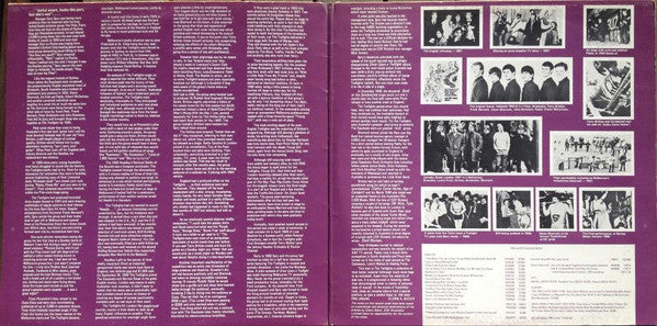 The Twilights – The Way They Played LP vinyl record, image 3 of 5