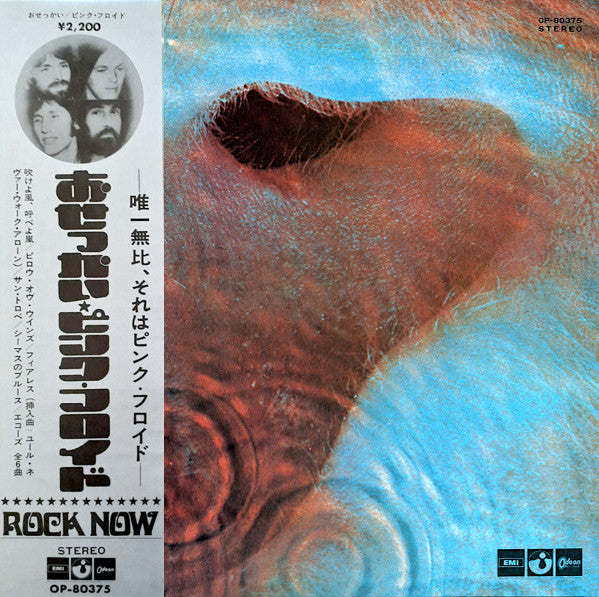 Pink Floyd – Meddle