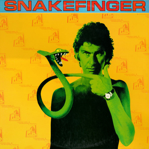 Snakefinger – Chewing Hides The Sound LP vinyl record, image 1 of 4