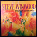 Steve Winwood – Talking Back To The Night LP vinyl record, image 1 of 7