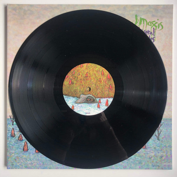 J Mascis – Several Shades Of Why LP vinyl record, image 6 of 6
