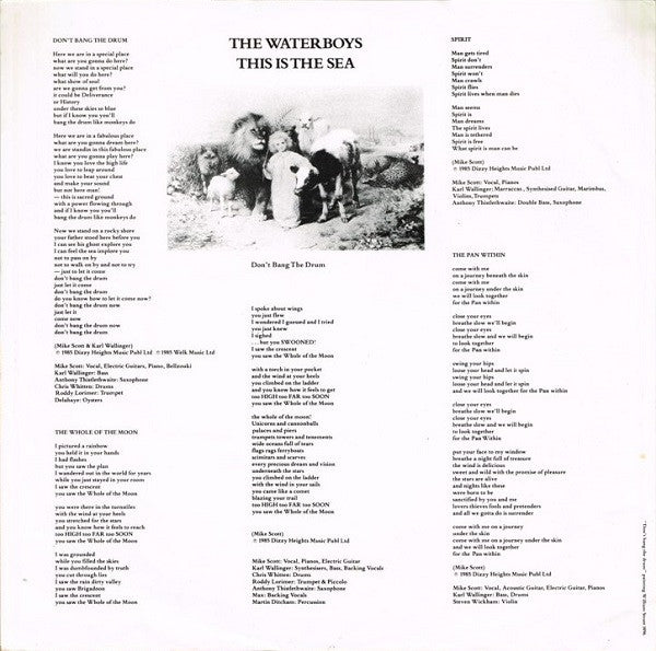 The Waterboys – This Is The Sea LP vinyl record, image 6 of 6